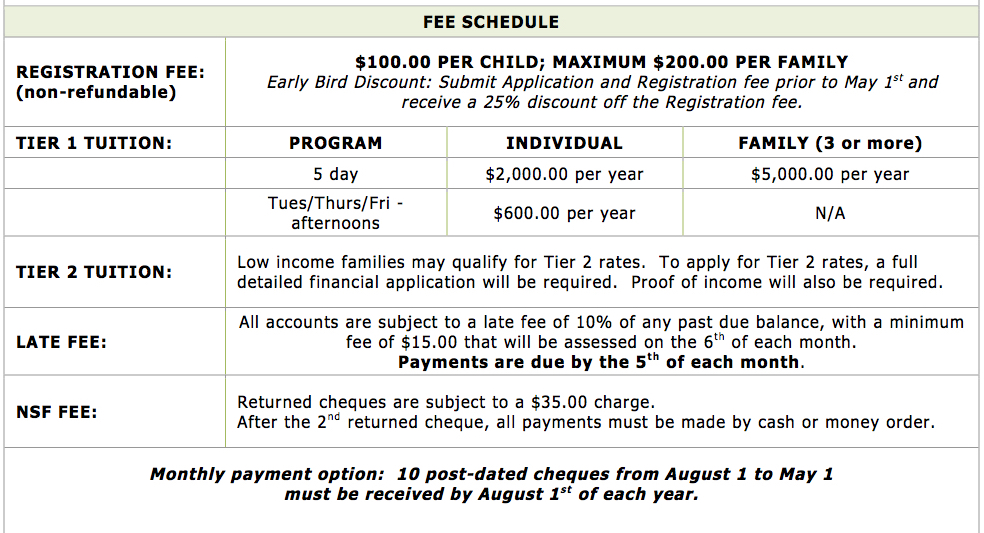 Best buy monthly payment options
